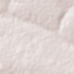 Dom Bosco Terrain Map