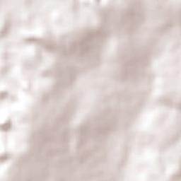 São João da Lagoa Terrain Map