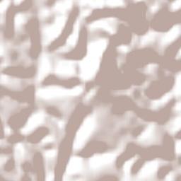 Bertópolis Terrain Map