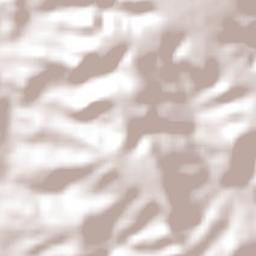 São Miguel do Passa Quatro Terrain Map