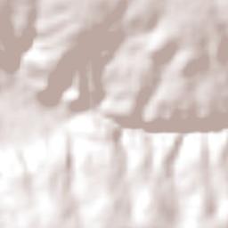 Lagoa dos Patos Terrain Map