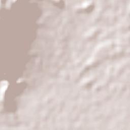 White Rock Terrain Map