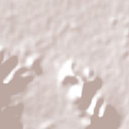 Edmonton Terrain Map