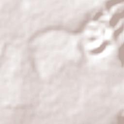 Guaraciama Terrain Map