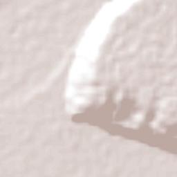 Punta de Bombón Terrain Map