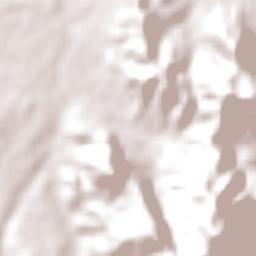 Dimbulah Terrain Map