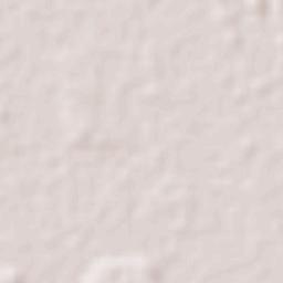 Okinawa Número Uno Terrain Map