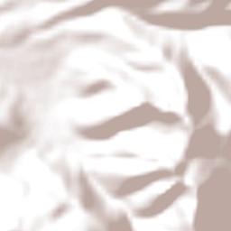 Chuquitira Terrain Map