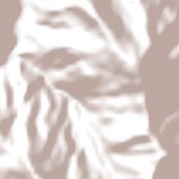 Colchani Terrain Map