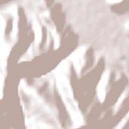 Tiraque Province Terrain Map