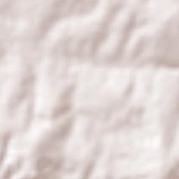 Engenheiro Navarro Terrain Map