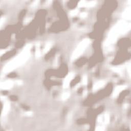 Medeiros Neto Terrain Map