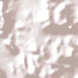 Concession Terrain Map