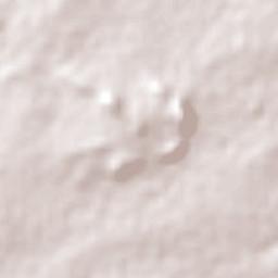 Glendale Terrain Map