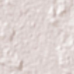 San Carlos Terrain Map