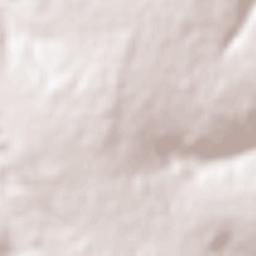 Francisco Dumont Terrain Map