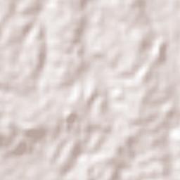 Buena Vista Terrain Map