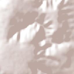 Olhos-d'Água Terrain Map