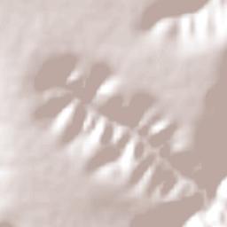 Carbonita Terrain Map