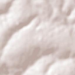 Pontalina Terrain Map