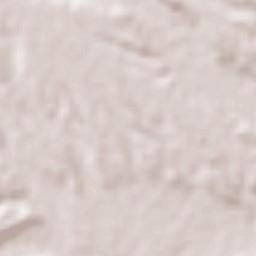 General Lagos Terrain Map