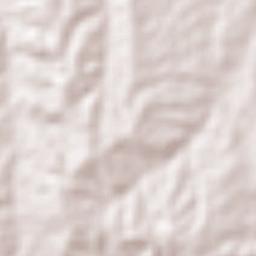 Provincia Gualberto Villarroel Terrain Map