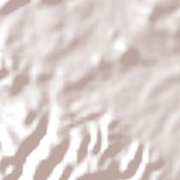 Provincia Esteban Arce Terrain Map