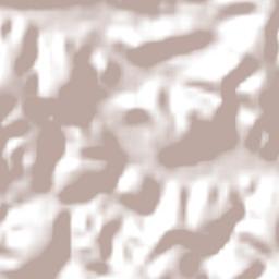 Carlos Chagas Terrain Map