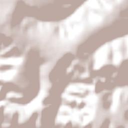 Capelinha Terrain Map