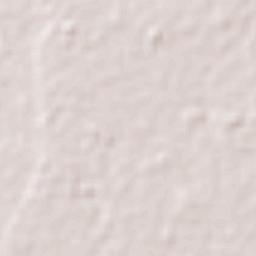 Santa Cruz de la Sierra Terrain Map