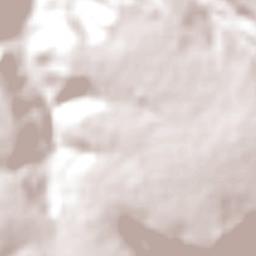 Joviânia Terrain Map