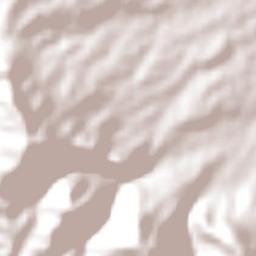 Nor Carangas Province Terrain Map