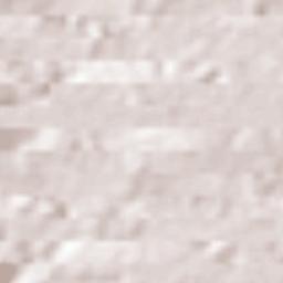 Pedro Gomes Terrain Map