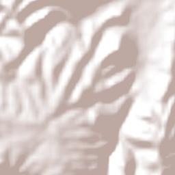 Curahuara de Carangas Terrain Map