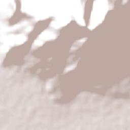 Cassowary Coast Terrain Map