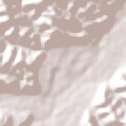 Jorochito Terrain Map