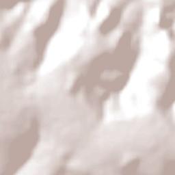 Buriti Alegre Terrain Map