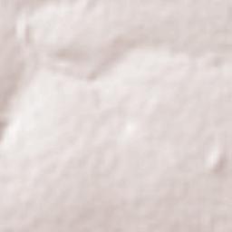 Bom Jesus de Goiás Terrain Map