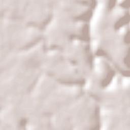 Pedro Canário Terrain Map