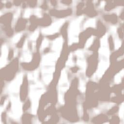 José Raydan Terrain Map