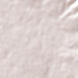 San Pedro Terrain Map