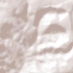 Três Marias Terrain Map