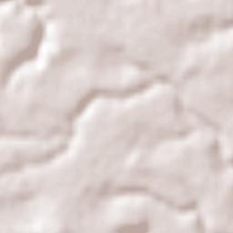 Pinheiros Terrain Map