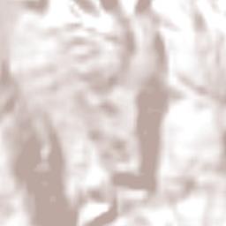 Monjolos Terrain Map