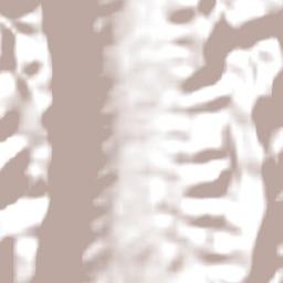 Opuwo Constituency Terrain Map