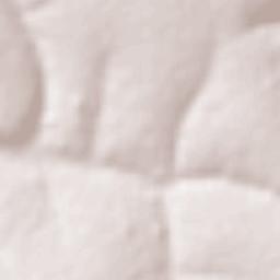 Tupaciguara Terrain Map