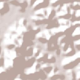 Mendes Pimentel Terrain Map