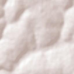 Monte Alegre de Minas Terrain Map