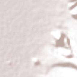 Challapata Terrain Map