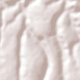 Cruzeiro da Fortaleza Terrain Map